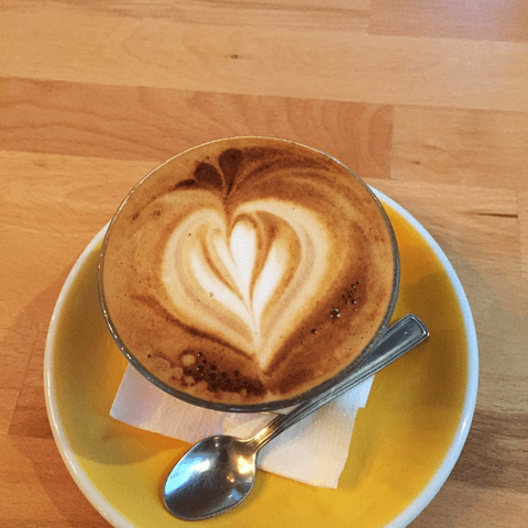 49099486_10215608227653323_7144590389368848384_n