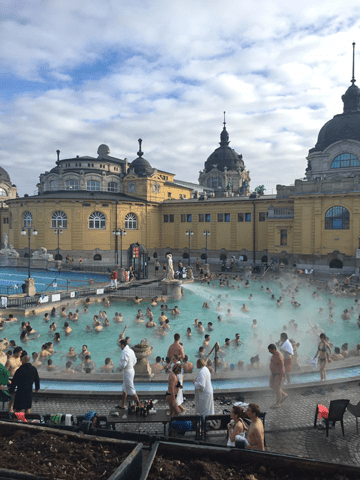 49897595_10215641461644152_1074320308850130944_n