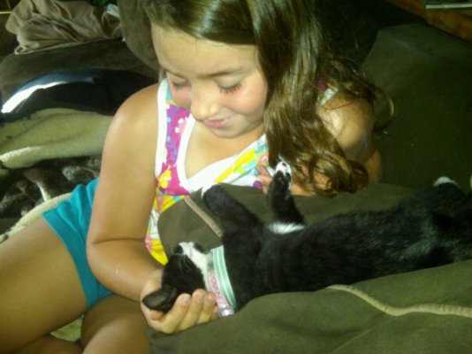 Rocky the Podcat Meets Sami